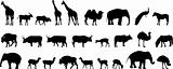 various animals silhouettes
