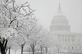 US Capitol Building, winter, USA