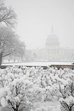 US Capitol Building, winter, USA
