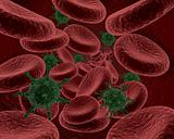 blood cells and bacteria 