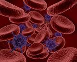 blood cells and bacteria