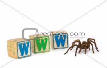 Tarantula with WWW blocks