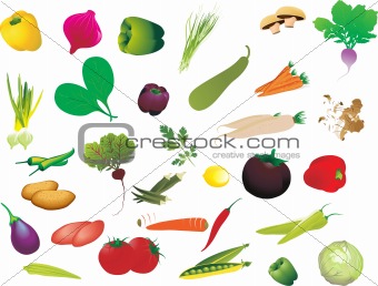 set of fresh vegetables isolated on white