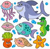 Aquatic animals collection