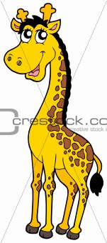 Cartoon Giraffe Drawings