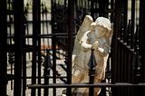 Angel behind wrought iron bars