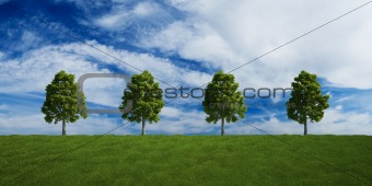 Trees on a row with summer clouds
