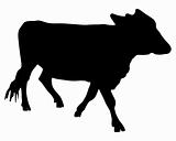 The black silhouette of a cow on white 