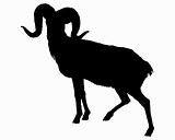 The black silhouette of a ram on white 