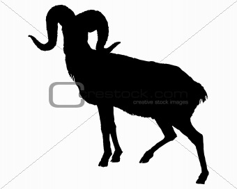 The black silhouette of a ram on white 