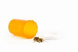 Insect and Pill Bottle