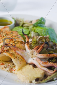 octopus with squid