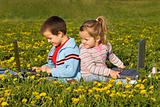 Kids with laptops on the flower field