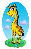 Cute giraffe standing on grass