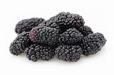 Blackberries closeup