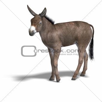 Donkey Render