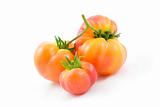 Hillbilly Tomatoes 2
