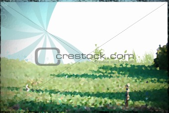 Abstract picture of grass and sky