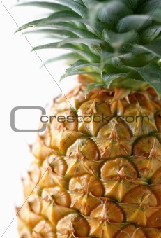 Ananas closeup