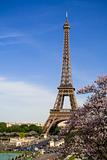The Eiffel Tower. Spring time