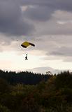 Tandem Paragliders Decending onto Ground