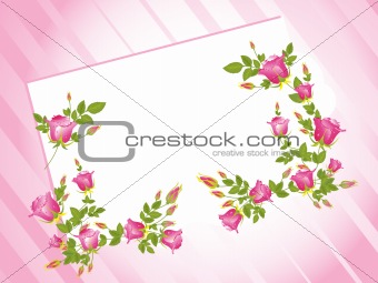 pink oblique line background with letterpad