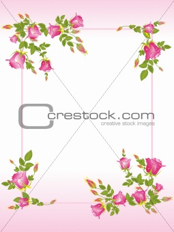 decorated frame with rose flower