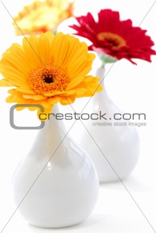 Interior design vases