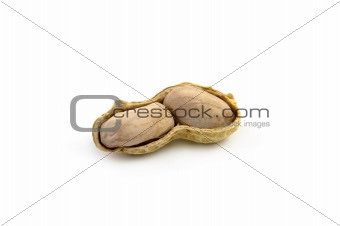 Ground Nut