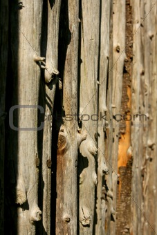 Tree fence