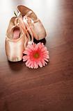 Ballet Shoes and Flower