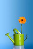 Watering can with a flower