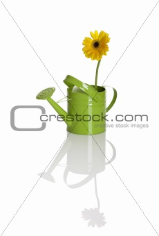 Green watering can with a flower