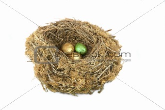 Environmental Nest Egg