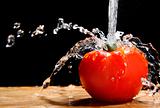 Tomato and Water