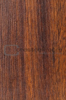 Pre-finished hardwood floor sample
