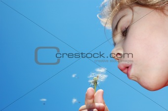 blowing away dandelion seeds