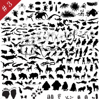 # 3 set of animal silhouettes