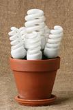 Power saving up bulbs