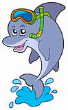Dolphin snorkel diver