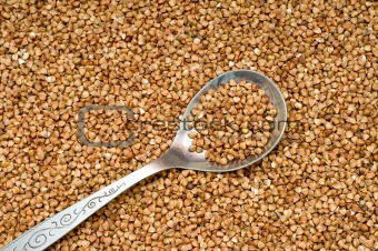 Buckwheat background