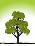 green tree silhouette isolated on green, vector