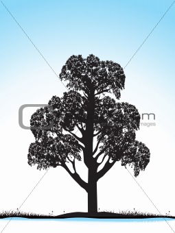 grunge tree silhouette isolated on blue, vector