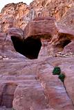 Hidden Petra 