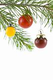 Red, Yellow, and Purple Tomato Ornaments