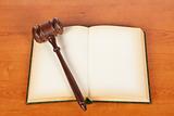 Wooden gavel and law book