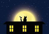 The cat and full moon