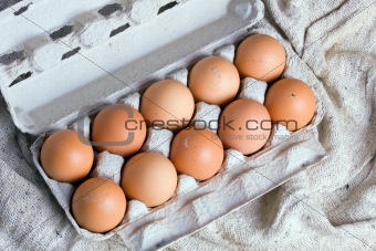 Eggs in Carton