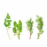 Parsley, Sage, Rosemary and Thyme Herbs
