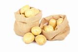 Two burlap sacks with potatoes